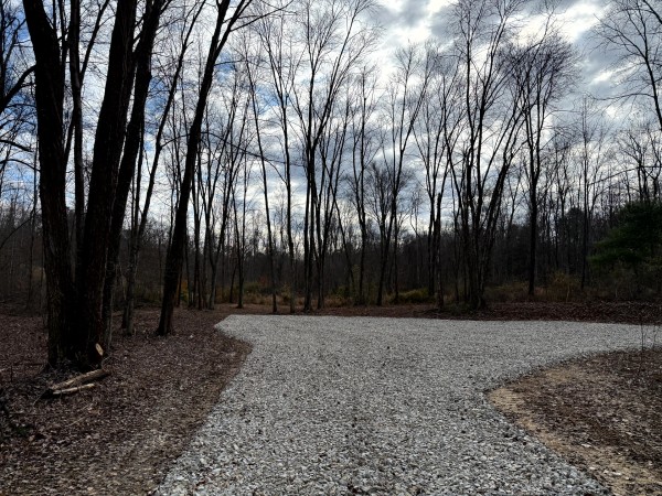 More of Lot 4 - The Woods at Turkey Run