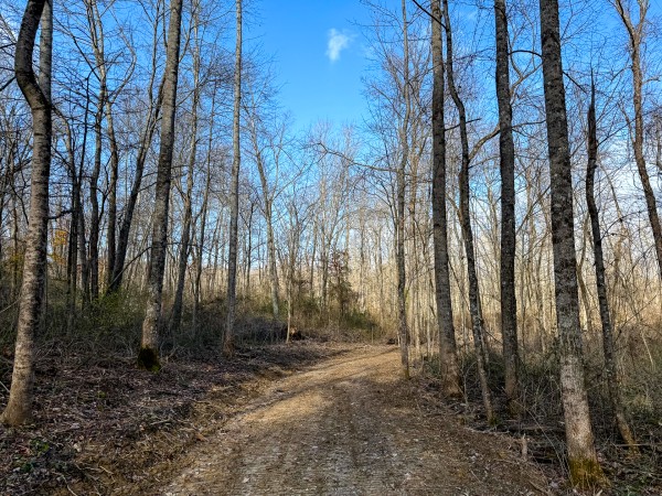 Lot 4 - The Woods at Turkey Run property photo