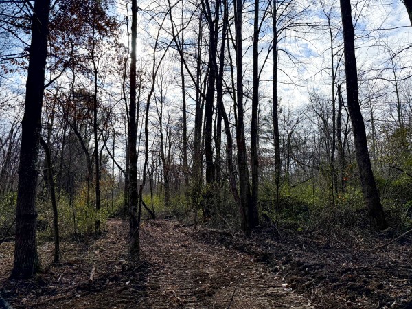 Lot 4 - The Woods at Turkey Run property photo
