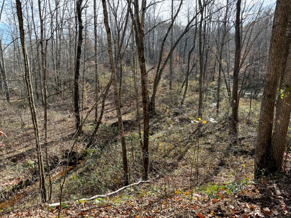 Lot 4 - The Woods at Turkey Run property photo