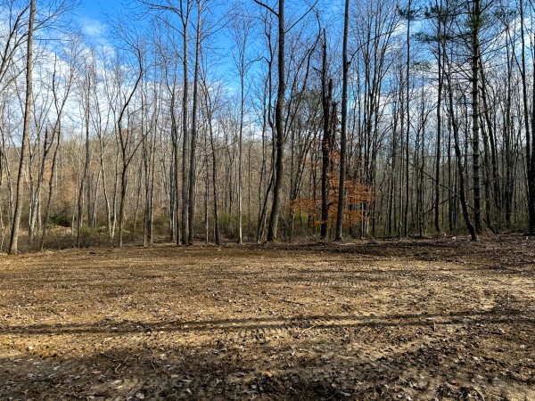 Lot 4 - The Woods at Turkey Run property photo
