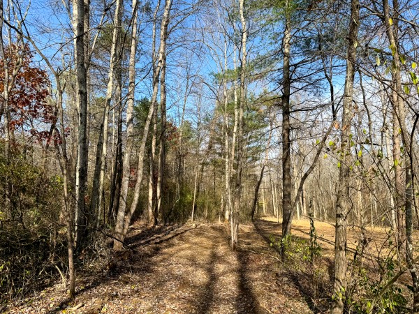 Lot 4 - The Woods at Turkey Run property photo