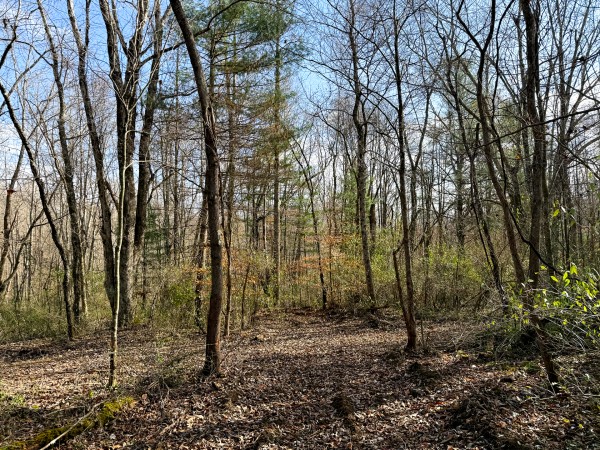 Lot 4 - The Woods at Turkey Run property photo