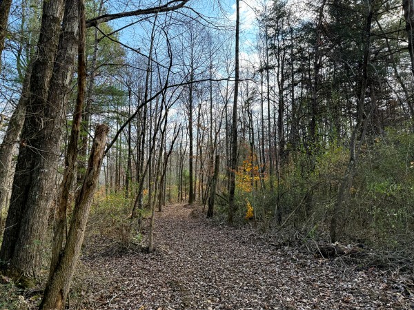 Lot 4 - The Woods at Turkey Run property photo