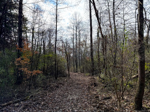Lot 4 - The Woods at Turkey Run property photo