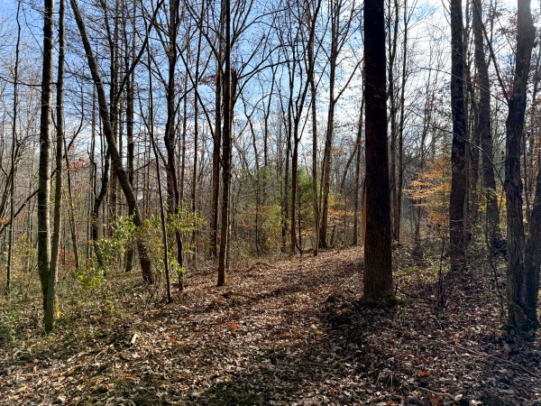 Lot 4 - The Woods at Turkey Run property photo