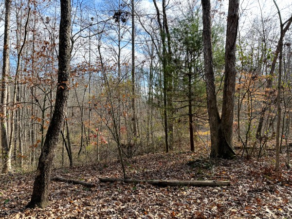 Lot 4 - The Woods at Turkey Run property photo