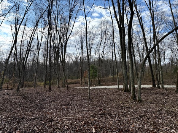 More of Lot 4 - The Woods at Turkey Run