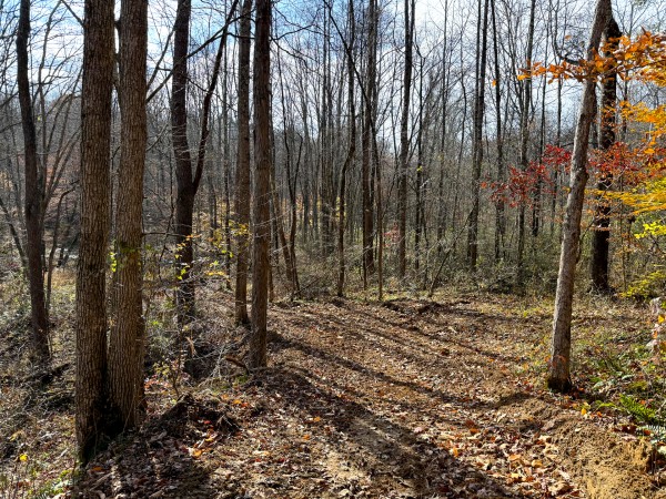 Lot 4 - The Woods at Turkey Run property photo