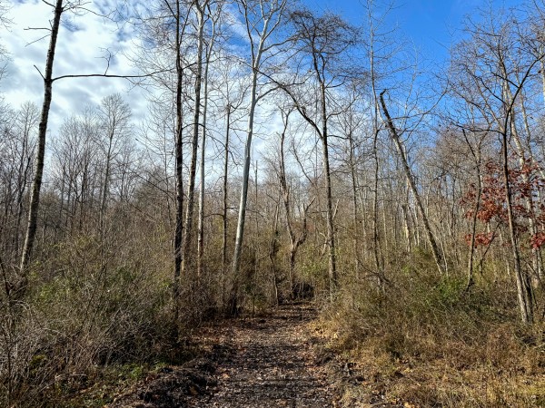 Lot 4 - The Woods at Turkey Run property photo