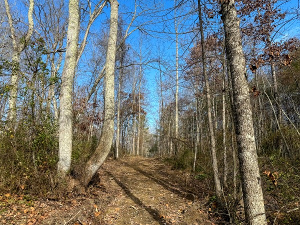 Lot 4 - The Woods at Turkey Run property photo