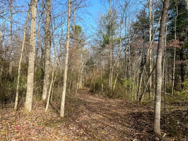 Lot 4 - The Woods at Turkey Run property photo