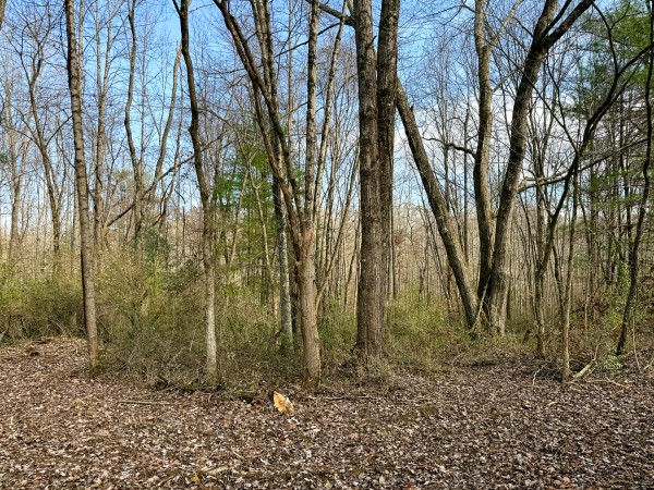 Lot 4 - The Woods at Turkey Run property photo