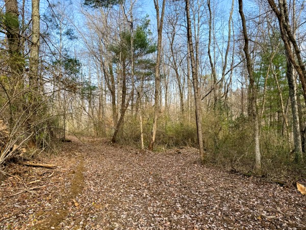 Lot 4 - The Woods at Turkey Run property photo