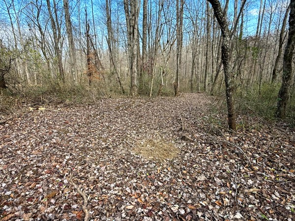 Lot 4 - The Woods at Turkey Run property photo