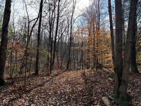 Lot 4 - The Woods at Turkey Run property photo