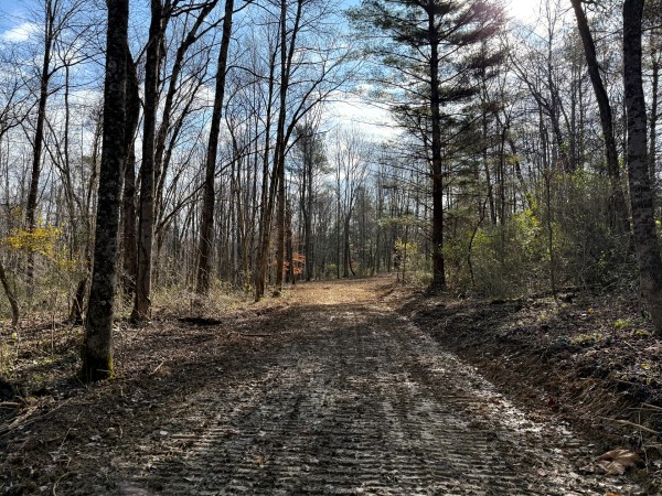 Lot 4 - The Woods at Turkey Run property photo