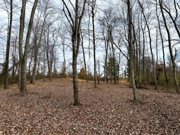 Lot 1 - The Woods at Turkey Run property photo