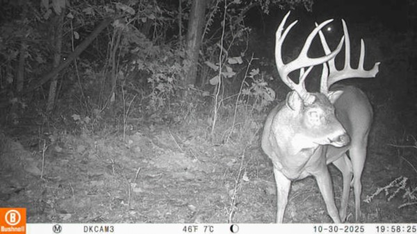 Lot 1 - The Woods at Turkey Run property photo
