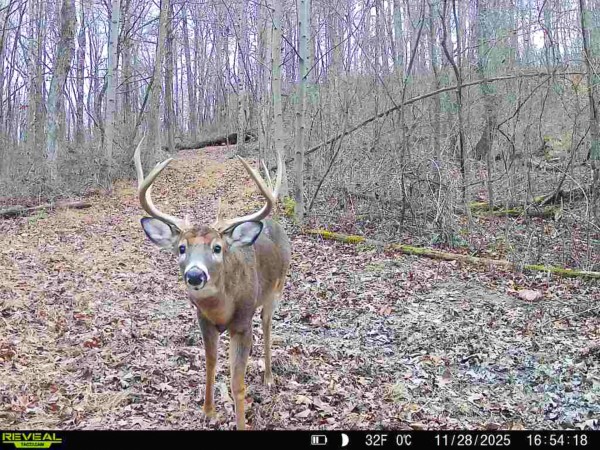 Lot 1 - The Woods at Turkey Run property photo