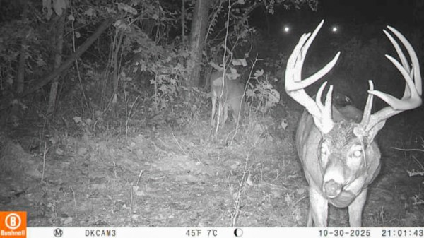 Lot 1 - The Woods at Turkey Run property photo