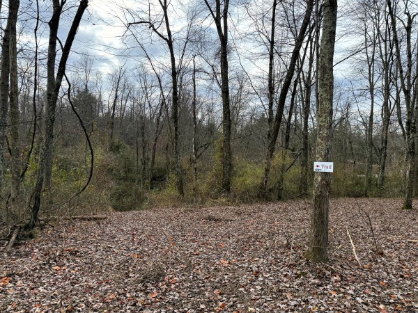Lot 1 - The Woods at Turkey Run property photo