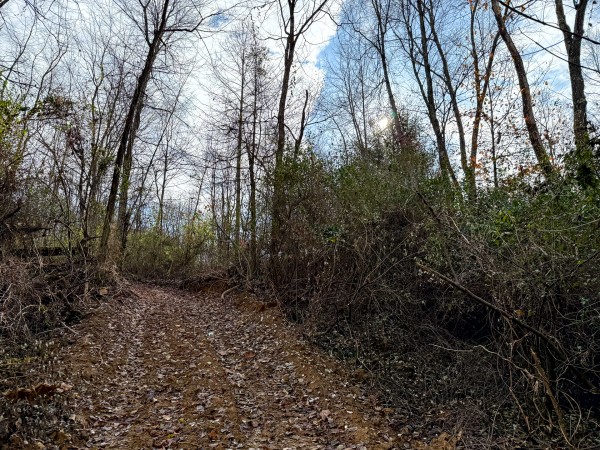 Lot 1 - The Woods at Turkey Run property photo