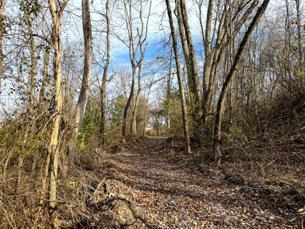 Lot 1 - The Woods at Turkey Run property photo
