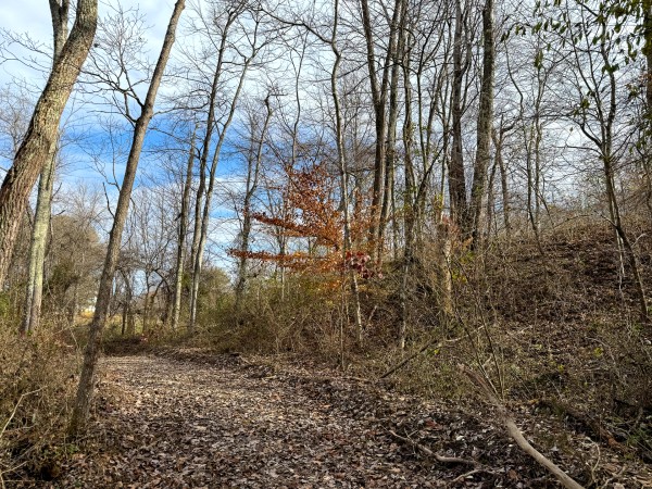 Lot 1 - The Woods at Turkey Run property photo