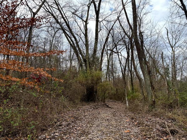 Lot 1 - The Woods at Turkey Run property photo