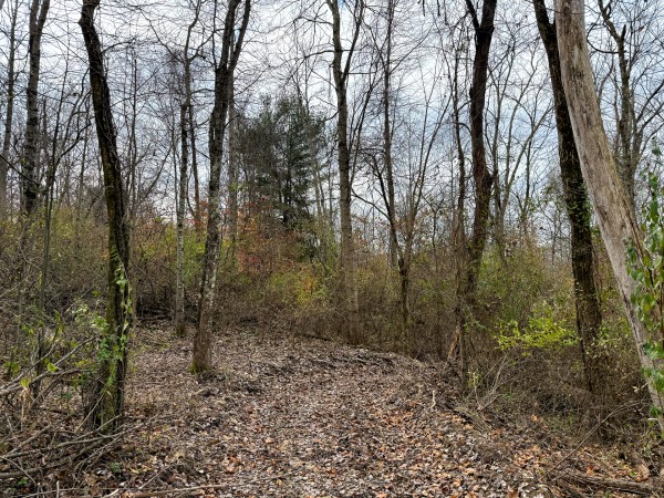 Lot 1 - The Woods at Turkey Run property photo