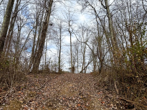 Lot 1 - The Woods at Turkey Run property photo