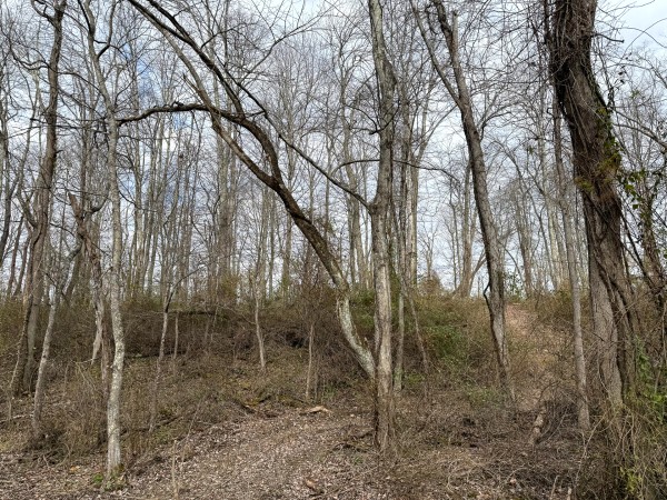 Lot 1 - The Woods at Turkey Run property photo