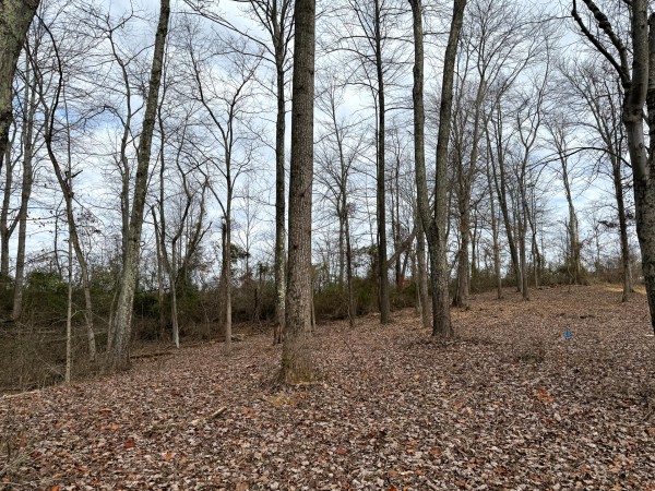 Lot 1 - The Woods at Turkey Run property photo