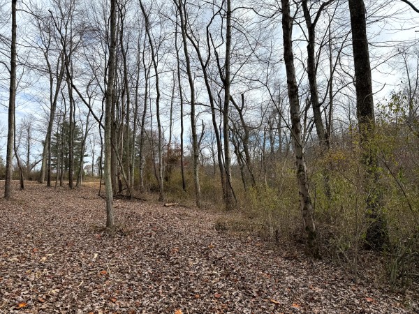 Lot 1 - The Woods at Turkey Run property photo