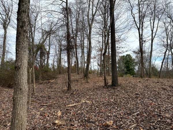 Lot 1 - The Woods at Turkey Run property photo