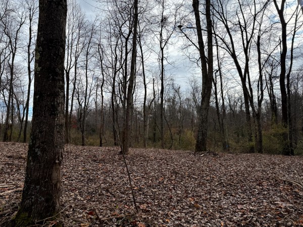 Lot 1 - The Woods at Turkey Run property photo