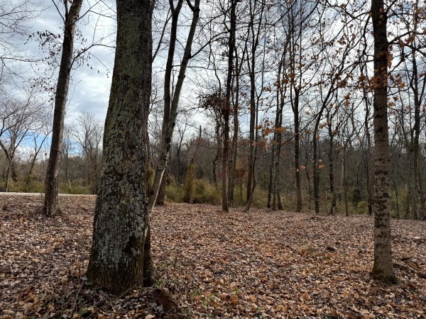 Lot 1 - The Woods at Turkey Run property photo