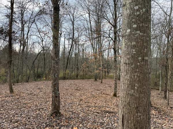 Lot 1 - The Woods at Turkey Run property photo