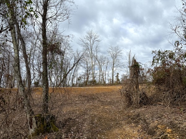 Lot 1 - The Woods at Turkey Run property photo