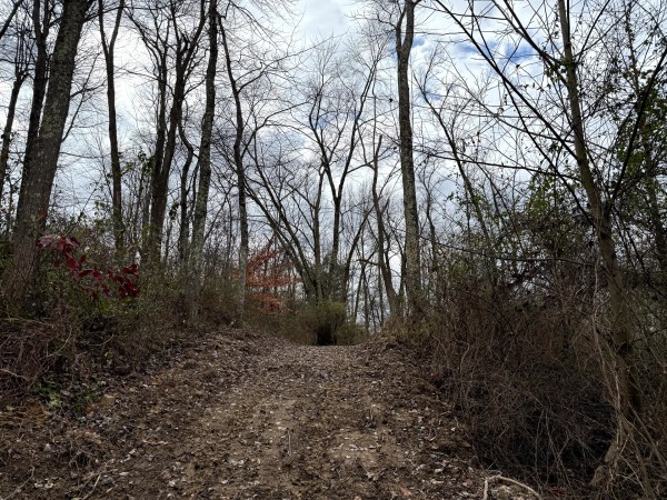 Lot 1 - The Woods at Turkey Run property photo