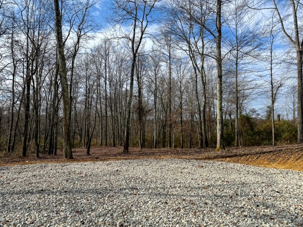 More of Lot 1 - The Woods at Turkey Run