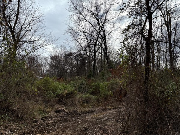 Lot 1 - The Woods at Turkey Run property photo