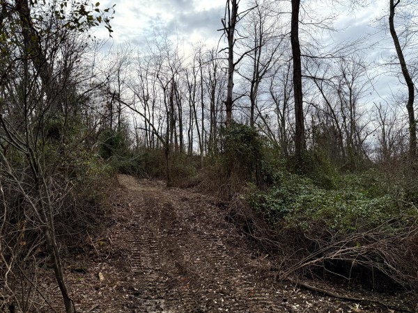 Lot 1 - The Woods at Turkey Run property photo
