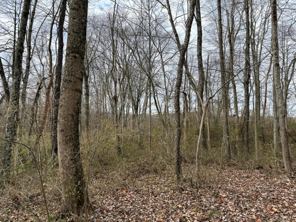Lot 1 - The Woods at Turkey Run property photo