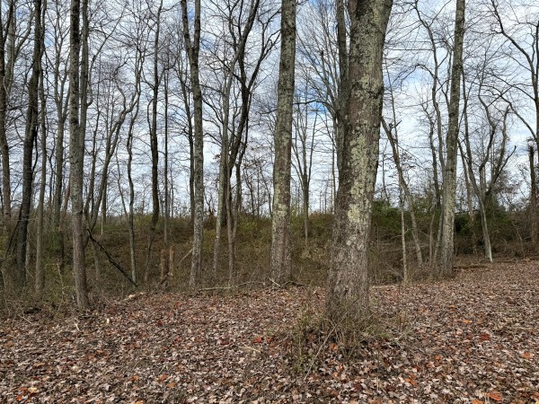 Lot 1 - The Woods at Turkey Run property photo