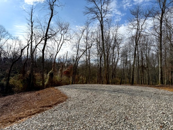 More of Lot 1 - The Woods at Turkey Run