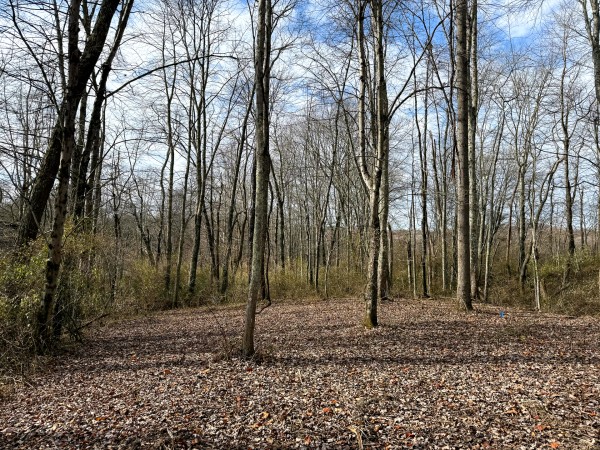Lot 1 - The Woods at Turkey Run property photo
