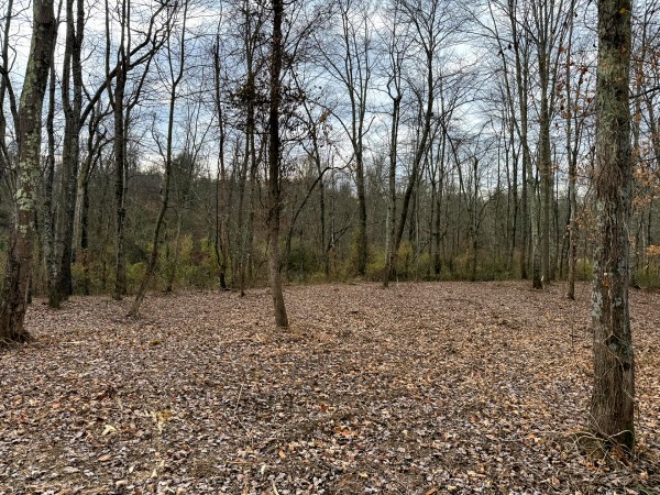 Lot 1 - The Woods at Turkey Run property photo
