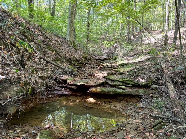 33747 Wolf Hill Rd, McArthur, OH 45651 property photo
